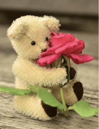 Baby Zaya Campbell-Tisdale Obituary