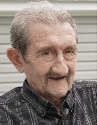 Mr. Nicolae Josan Obituary